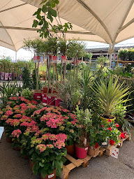 Photo n°28 de Bricomarché Crepy En Valois à Crépy-en-Valois (Magasin de poêles à bois)