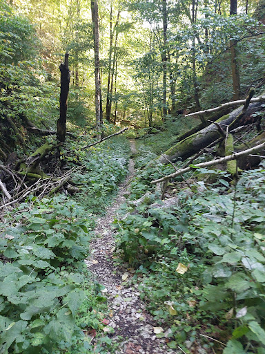 Schreckenfels bei Grabenstetten - Thumbnail