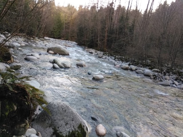 Lynn Canyon Suspension Bridge