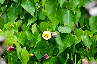 Photos of Kalamatiya Lagoon