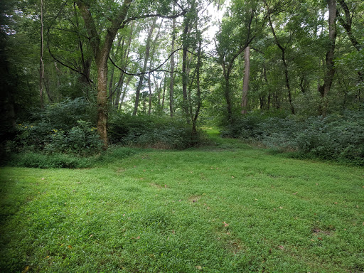 Purslane Run Campsite Gallery - United States