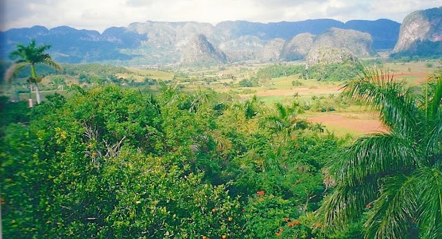 Villa Nilda