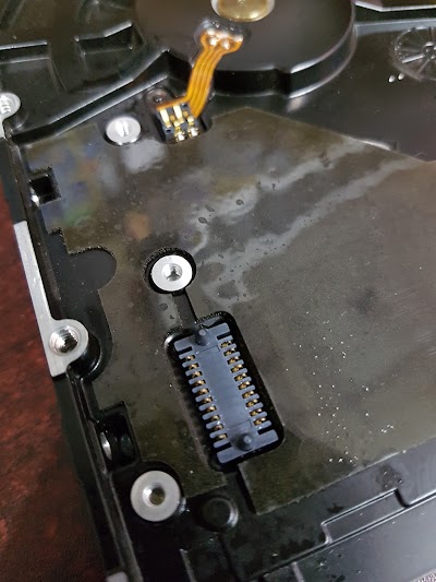 Photos of My Computer Garden