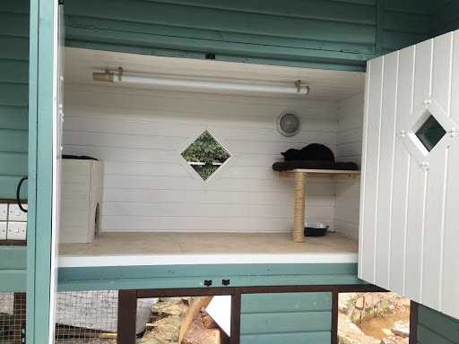 Lime Grove Cattery - Thumbnail