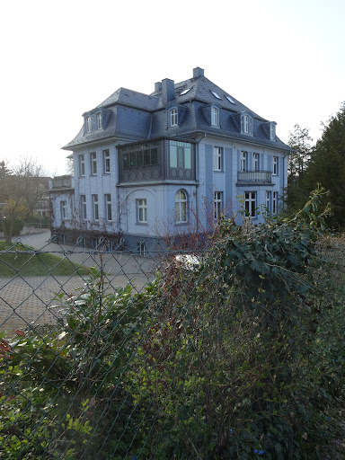 Frau Dr. med. Angelika Schumann