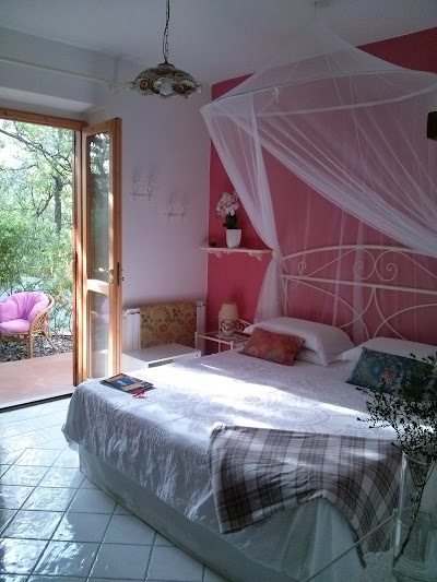 Photos of La Casa Del Gelso