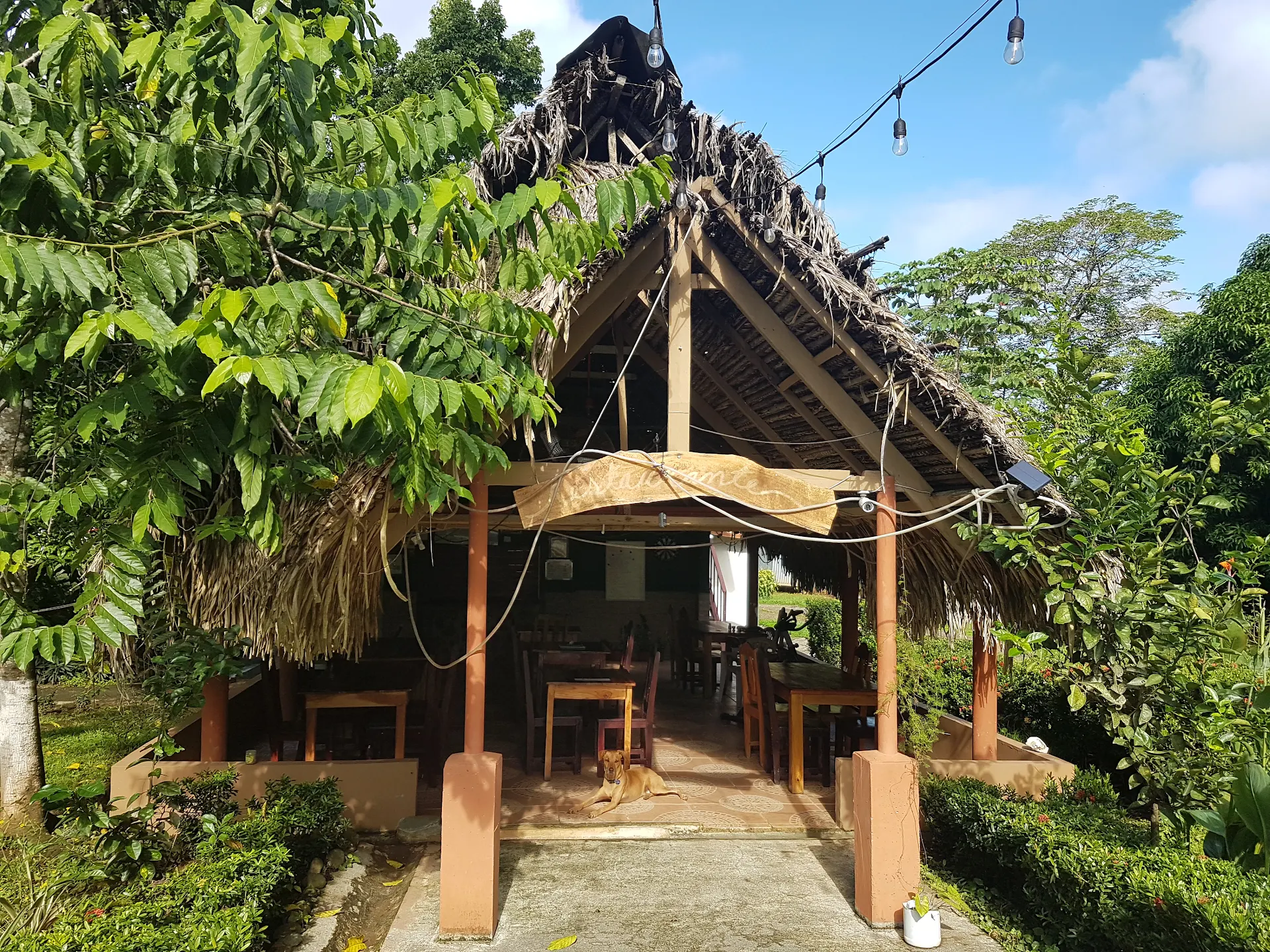 Los Pinos de Torio