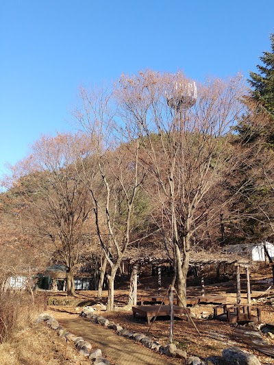 Photos of 치악산대곡야영장