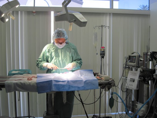 VCA A Breed Apart Animal Hospital - Thumbnail
