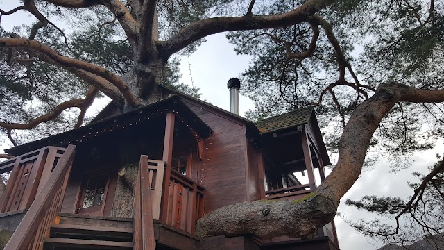 The Lodge