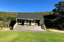 Tawharanui Regional Park, Warkworth, New Zealand