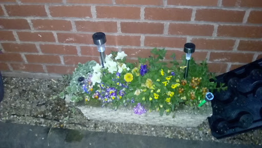 Oscott Pets - Visual