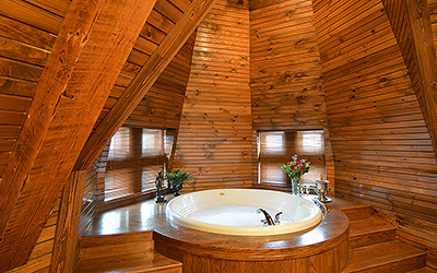 Buhl Mansion Guesthouse & Spa - Thumbnail