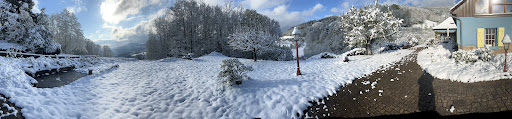LES RUCHES DES FÉES - Thumbnail