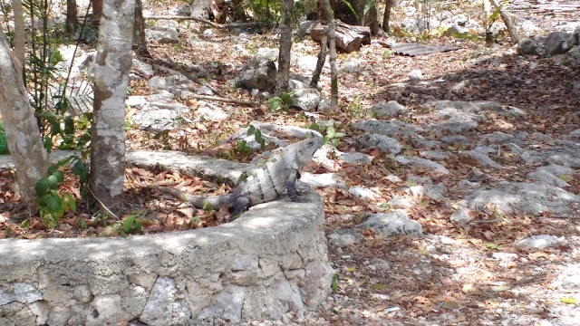 Cenote Calavera