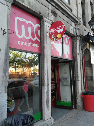 Moozoo - Visual