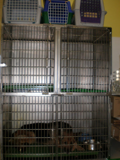 Clínica Veterinaria Garfield