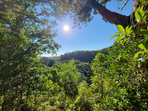 Waikamoi Nature Trailhead and Parking Area - United States