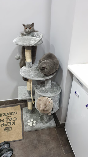 CENTRO VETERINARIO 4 PATAS C.B