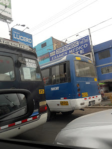 Expreso Internacional Palomino 3