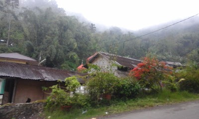 Photos of Lapau Kopi Da IL