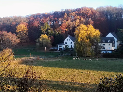 Brigitte Jochmann - Visual