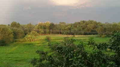 Photos of As Like Park