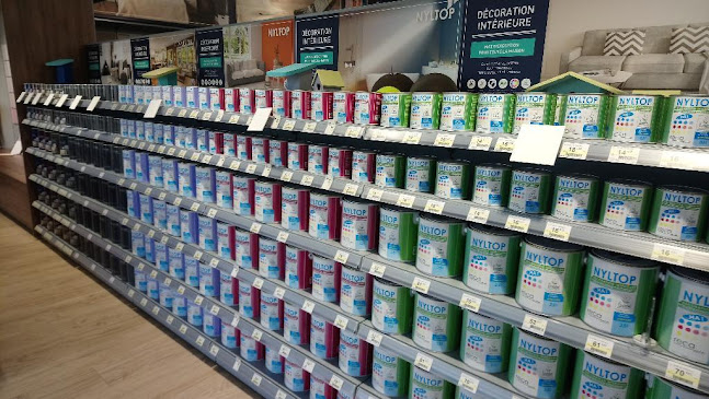 Reca Peintures - Pau
