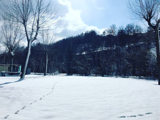 Pioppeto - Visual
