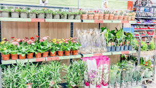 Photo n°36 de Lidl à Maxéville (Supermarché)