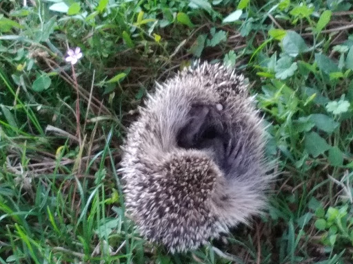 Parco Colugna Tavagnacco - Thumbnail
