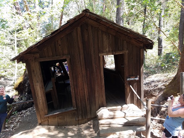 Oregon Vortex