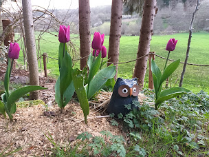 Photo n°4 de Les Êtres de Gaïa à Bourg-Bruche (Jardinier)