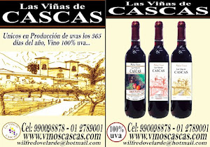 Las Viñas de Cascas 9