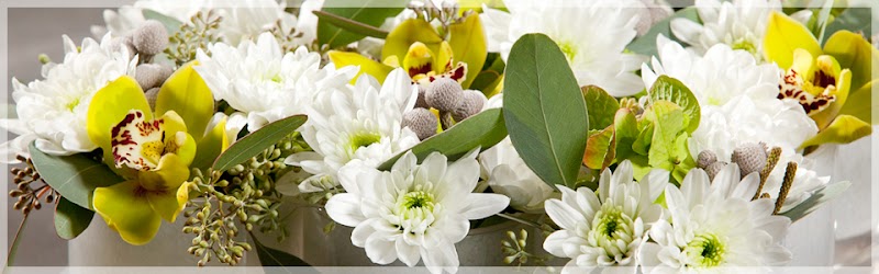 スマイルファーム スズキ