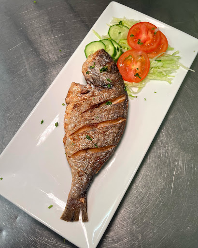Every Fish Bar - Visual