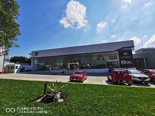 MG Villahermosa Gallery - Mexico