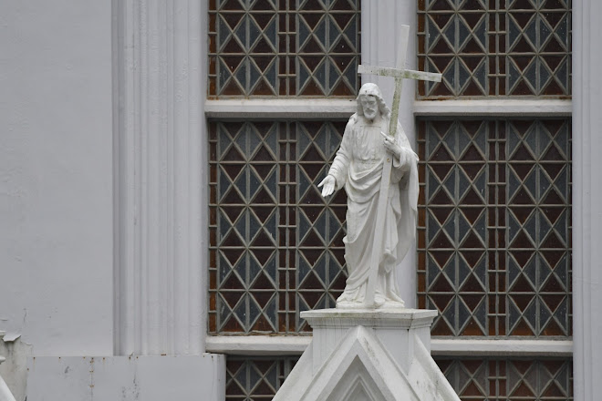 Visit The Hong Kong Catholic Cathedral Of The Immaculate