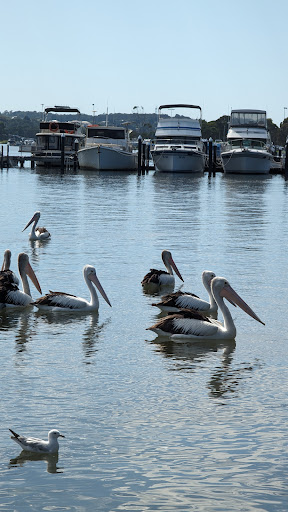 Portside Boat Hire - Thumbnail