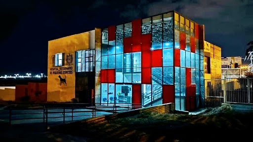 Hospital Veterinario de Pequeñas Especies