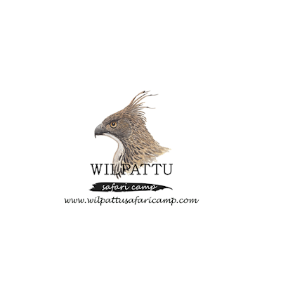 Photos of Wilpattu Safari Camp