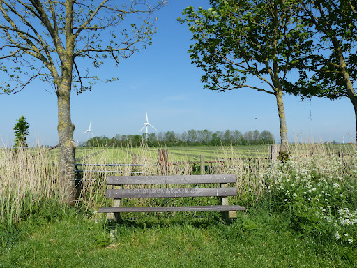 It Fryske Fersepaad: R. van der Leest