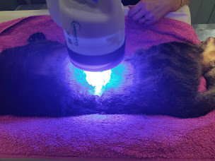 Photo n°28 de Cabinet Vétérinaire de la Mer à Saint-Cyr-sur-Mer (Clinique vétérinaire)