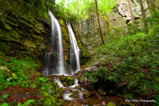 Pete's Branch Falls