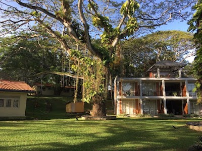 Photos of Koggala Air Force Base