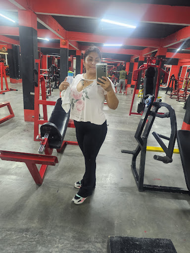 Training GYM - Visual