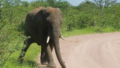 Photos of Mapungubwe National Park