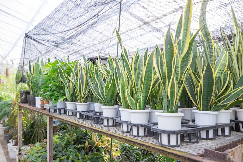 有限会社猿投観葉