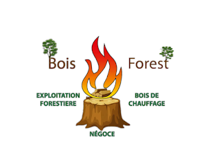 Photo n°4 de BOISFOREST PINGOUROUX Alexis à Bersaillin (Négociant en bois)