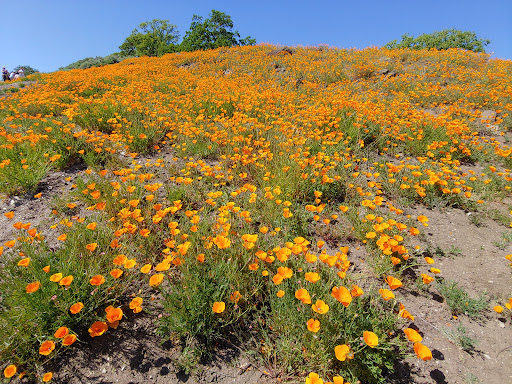 Fossil Hill Trail